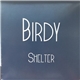 Birdy - Shelter